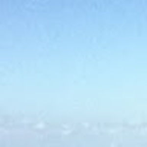 Meet your Posher, Laurie